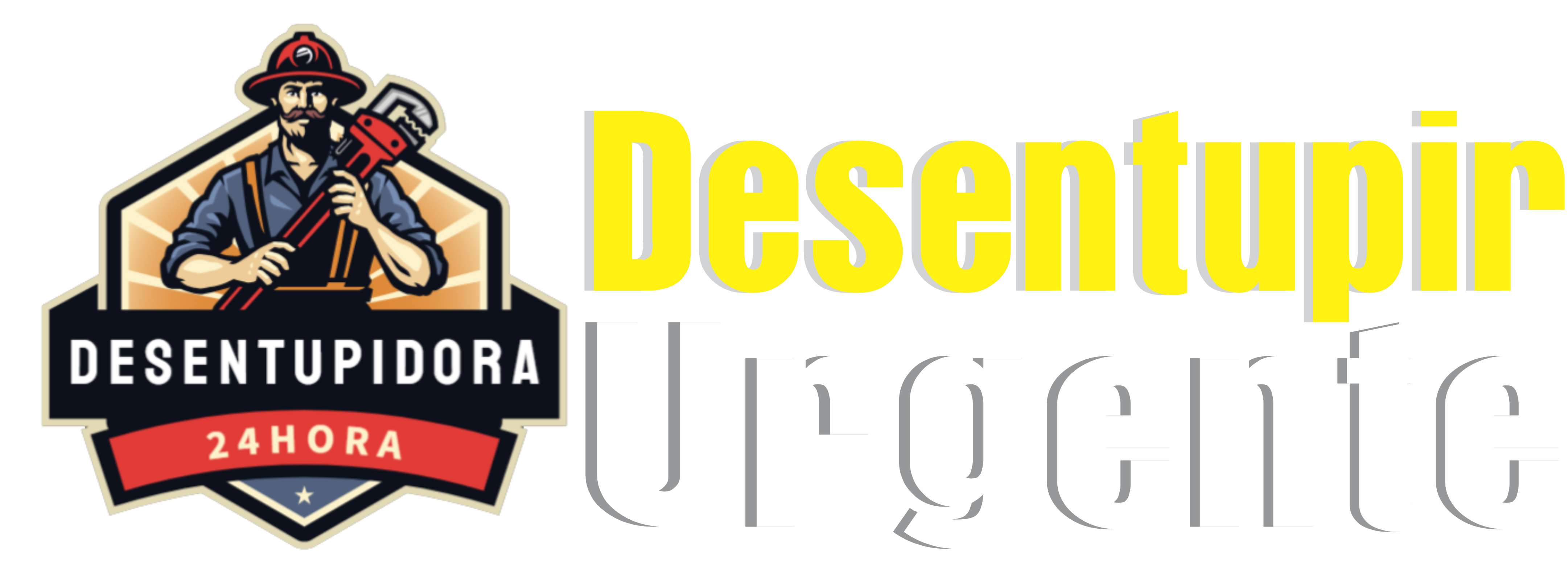 Bonilha Desentupidora